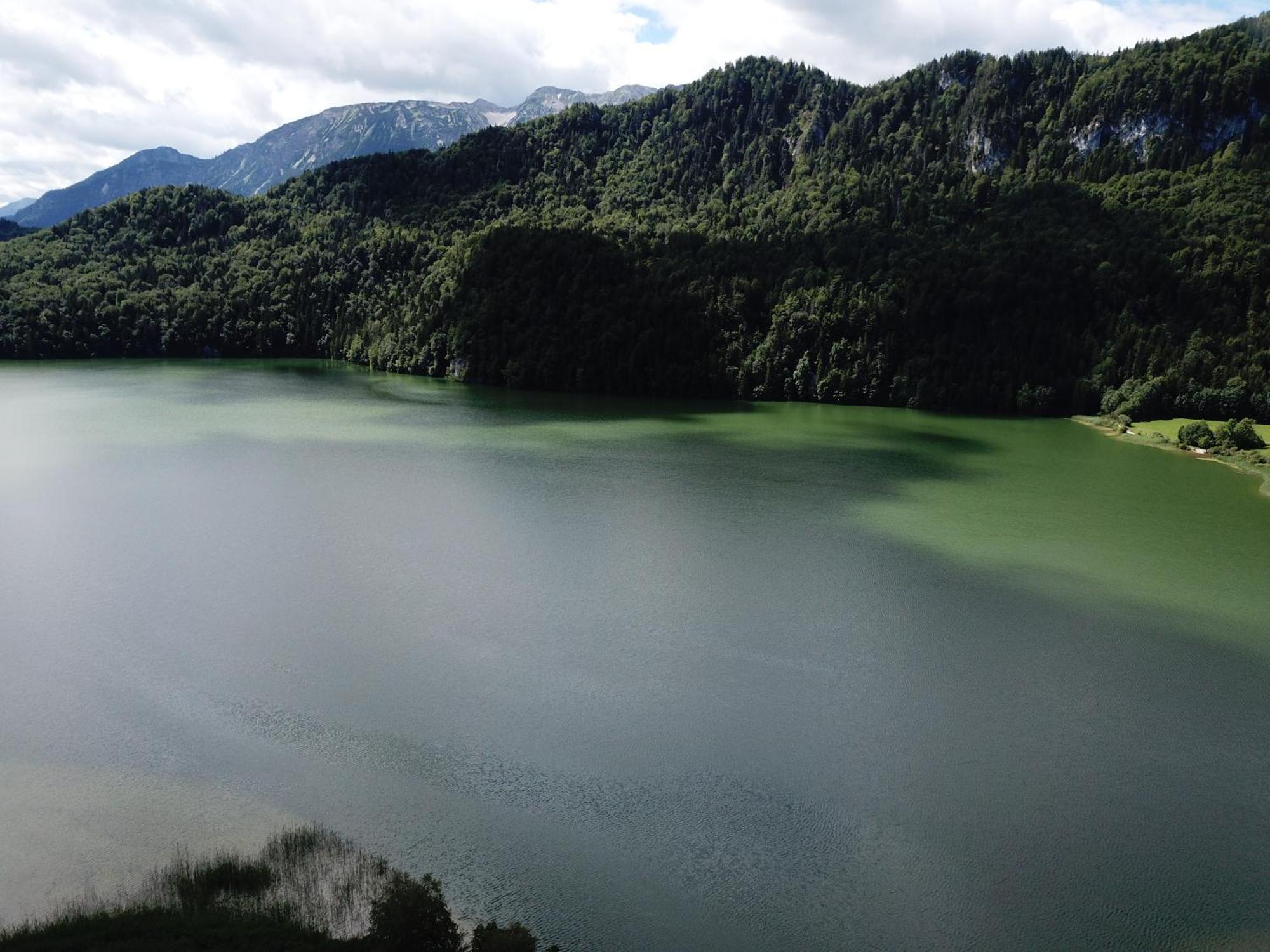 Landhaus Am Weissensee Füssen Dış mekan fotoğraf